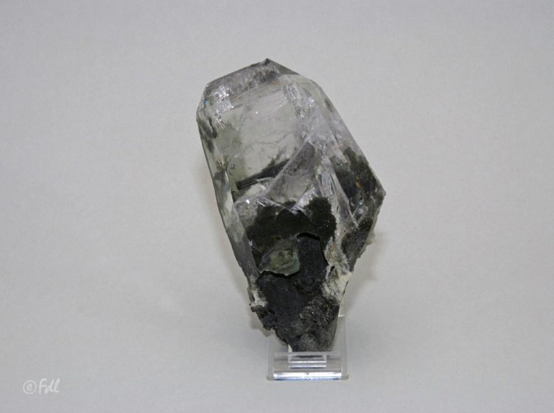 Cristal de roche avec chlorite