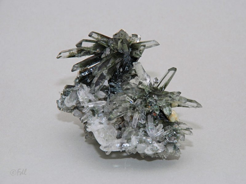 Groupe de cristal de roche avec chlorite