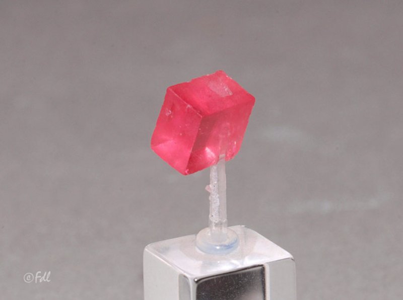 Rhodocrosite sur quartz - Usa