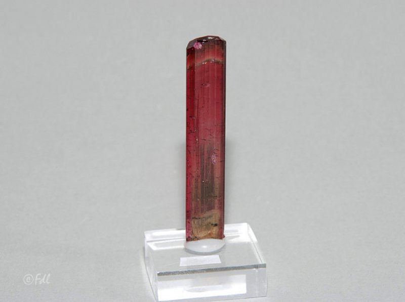 Tourmaline melon d'eau - Brésil