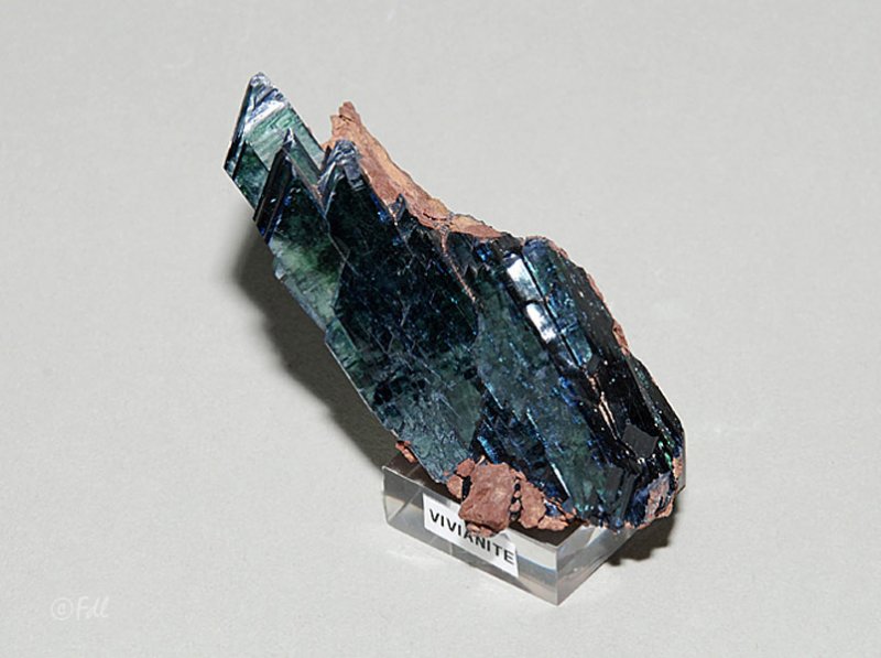 Vivianite - Colombie