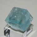 Fluorite - Le Burc - France