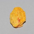 Orpiment - Usa