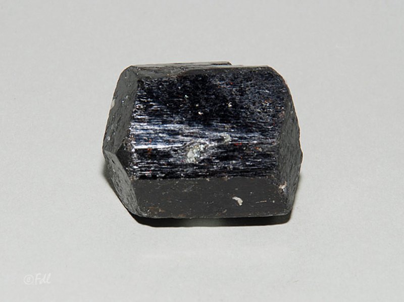 Tourmaline noire (schorl)